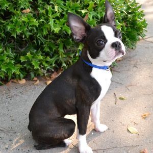 Meet your Posher, Jerry